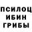 Галлюциногенные грибы ЛСД gagafan07
