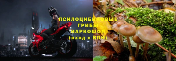 мет Алексин